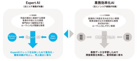 Sapeetの事業内容