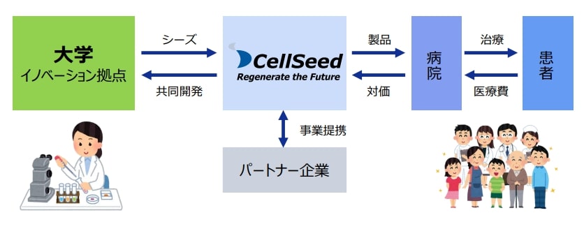 セルシード ビジネスモデル