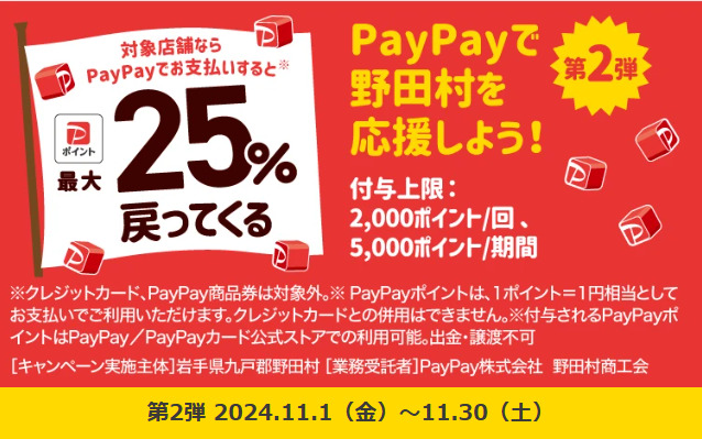 PAYPAYキャンペーン画像(野田村)