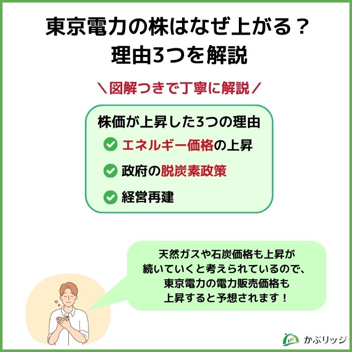 東電　理由