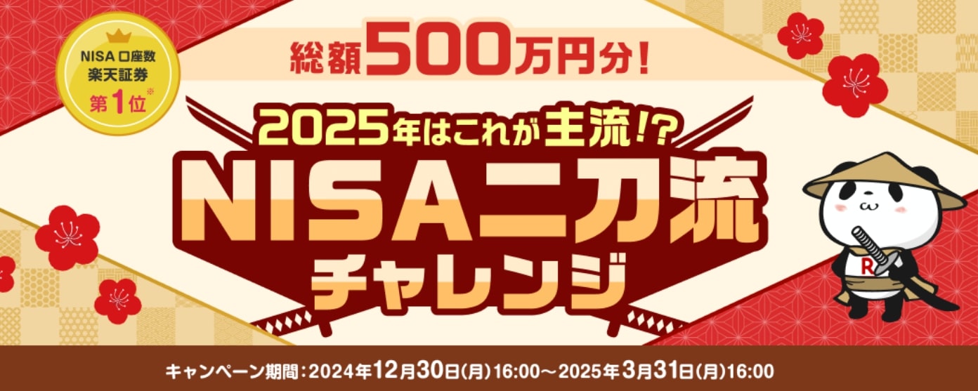 総額500万円！2025年はこれが主流！？NISA二刀流チャレンジ